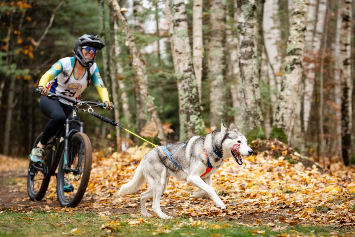 Jessen Secures Highest-Ever Finish for Australia in Sleddog Worlds